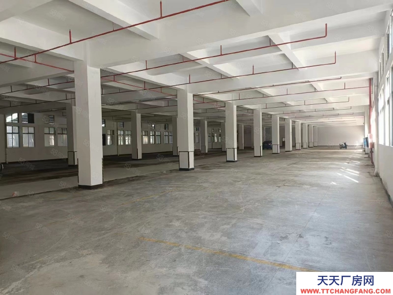 (出租) 东莞国有红本4万平厂房，工业用地，易招工，位置超好