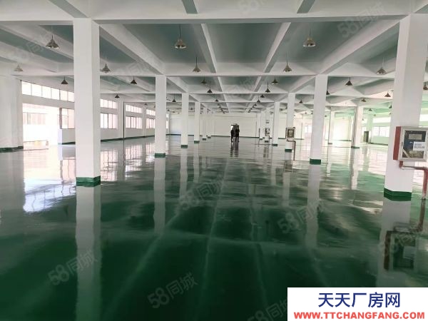 苏州市吴中区出租浦庄 一楼1600方厂房 高5米！房东直租！房租开票