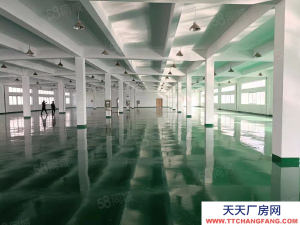 苏州市吴中区出租浦庄 一楼1600方厂房 高5米！房东直租！房租开票