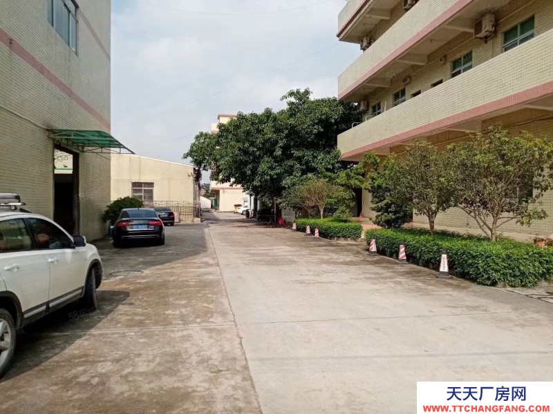 (出租) 常平新出带牛角标准一楼2000平方，配带消防喷淋，工业用地