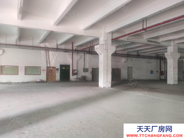 苏州市吴中区可分租越溪1500平单层厂房出租 大车好进 独门独院 原房东