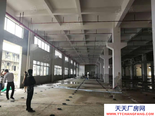 苏州市吴中区可分租越溪1500平单层厂房出租 大车好进 独门独院 原房东