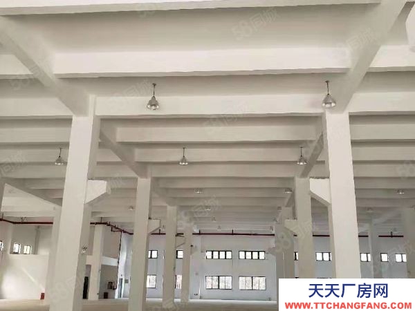 苏州市吴中区1楼高8米1800平！2楼2000平可分割分租130平以上