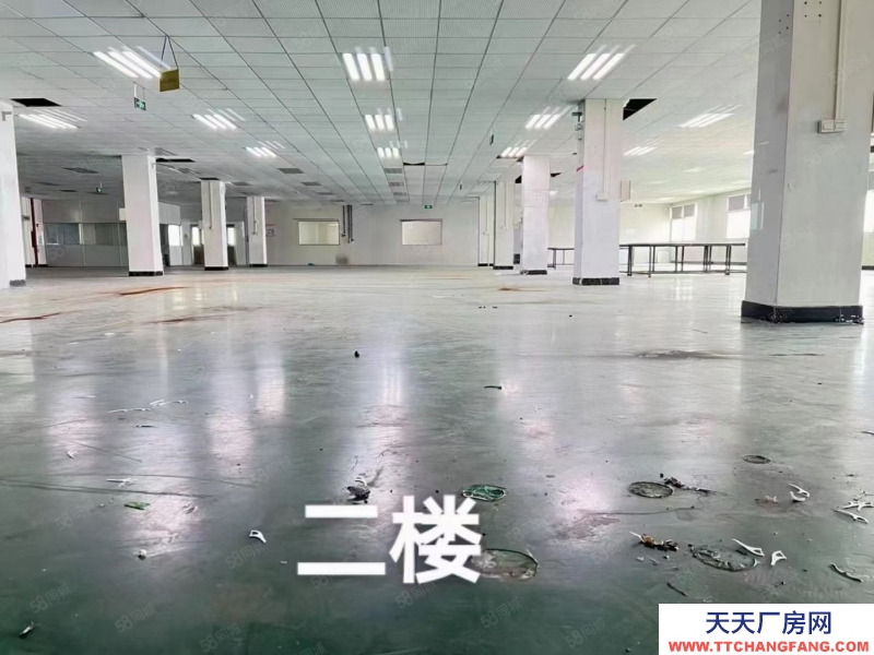 (出租) （新出）东莞常平桥沥独院三层7500平方，可分租