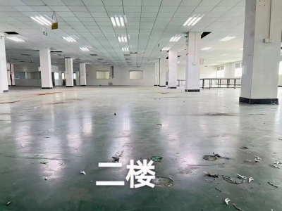 (出租) （新出）东莞常平桥沥独院三层7500平方，可分租图2