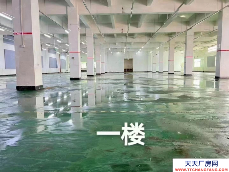 (出租) （新出）东莞常平桥沥独院三层7500平方，可分租