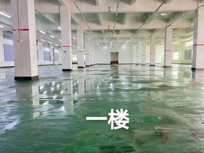 (出租) （新出）东莞常平桥沥独院三层7500平方，可分租图3