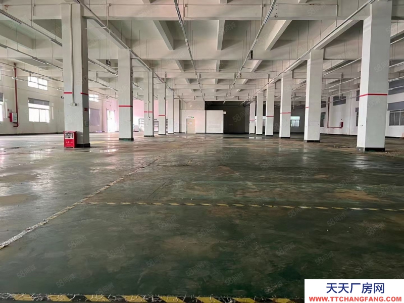 (出租) （新出）东莞常平桥沥独院三层7500平方，可分租