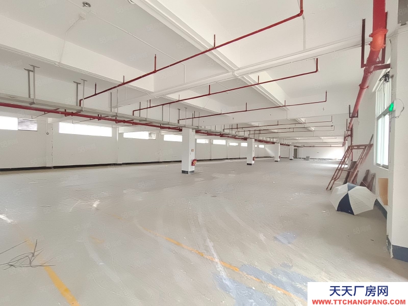 (出租) 东莞厚街带鞋材手袋环评！原房东，花园式厂房6800平招租，接受分租！