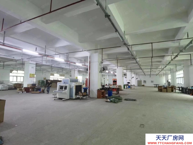 (出租) 东莞长安工业园厂房仓库出租4500平精装修可办环评空地超大