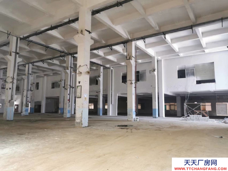 (出租) 东莞临深黄江独门独院厂房，位置好空间大，工业用地，带环评