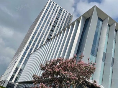 苏州市吴中区厂房 开发商出售 首付低 入园有门槛 配套齐全图2