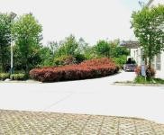 (出租) 襄阳襄城我们自己私人公司的厂房