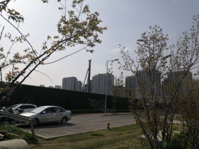 苏州市吴中区国土双证！1000~6000平米！花园式厂房！图2