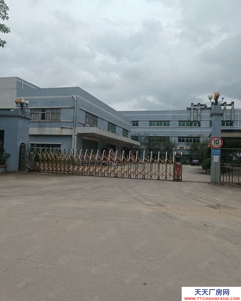 (出租) 东莞寮步新出标准独门独院，厂房三栋，一栋两层，两栋三层