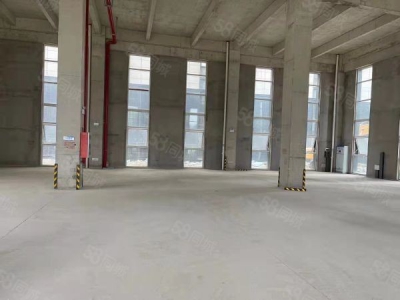 苏州市吴中区五十年产权标准厂房，首层8.1米，价格惊人图3