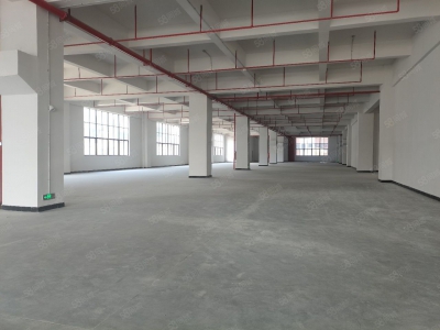 (出租) 东莞全新厂房出独院厂房上市公司形象，实际面积出租，带有红本无公摊图2