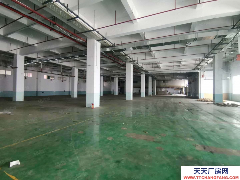 (出租) 东莞市万江道滘及周边镇区标准厂房出租，独院单一层厂房出租