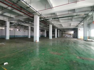 (出租) 东莞市万江道滘及周边镇区标准厂房出租，独院单一层厂房出租图3