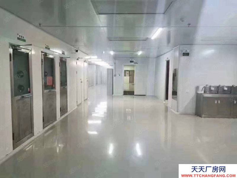 (出租) 东莞市万江道滘及周边镇区标准厂房出租，独院单一层厂房出租