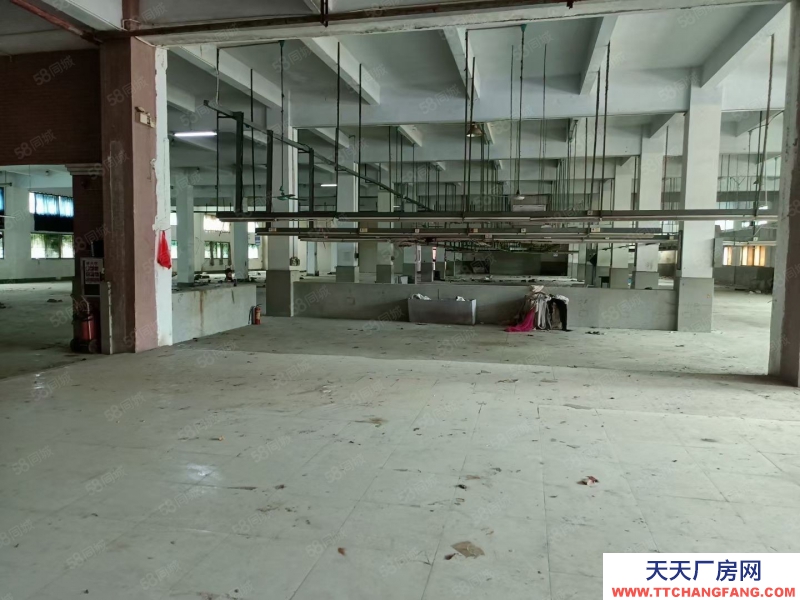 (出租) 东莞厚街花园式单一层独院9200平方厂房出租