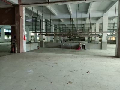 (出租) 东莞厚街花园式单一层独院9200平方厂房出租图2
