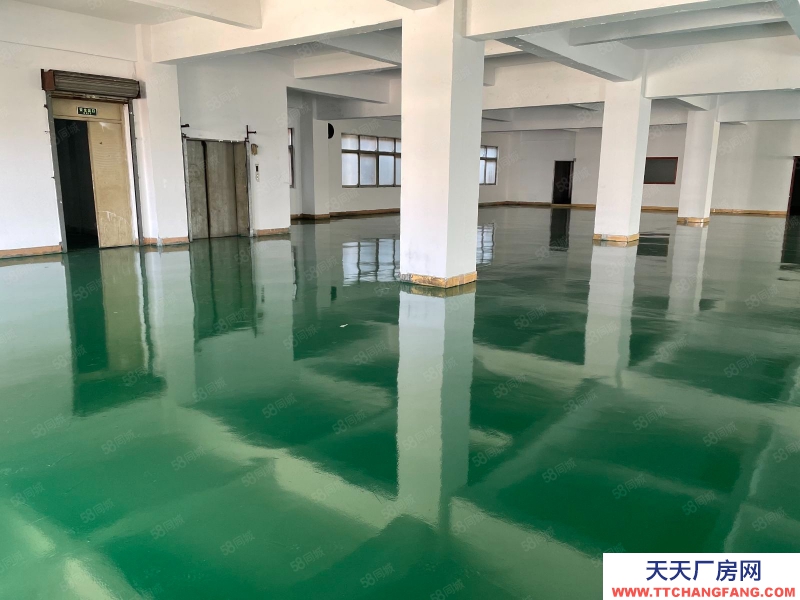 (出租) 东莞厂房出租！东城温塘一手房东直招独栋独院1500平，空地大