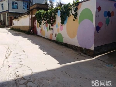 (出租) 自建商用房出租，交通方便，合适做仓库和农家乐图5