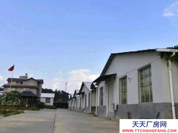 (出租) 自家茶厂，有分筛，发酵，仓库