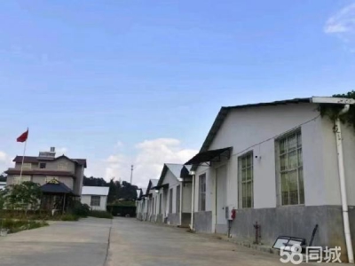 (出租) 自家茶厂，有分筛，发酵，仓库图2