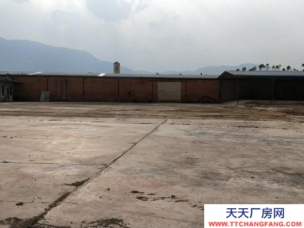 (出租) 红山完小左边，10米宽大道，独立自主，自由使用。