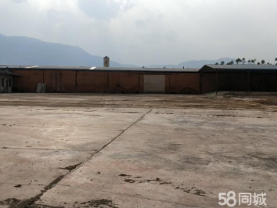 (出租) 红山完小左边，10米宽大道，独立自主，自由使用。图1
