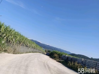 (出租) 红山完小左边，10米宽大道，独立自主，自由使用。图2