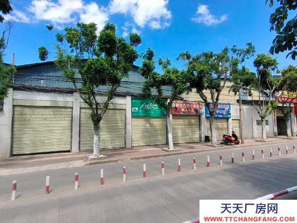 (出租) 自建的厂房，一手厂房，交通便利