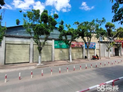 (出租) 自建的厂房，一手厂房，交通便利图1