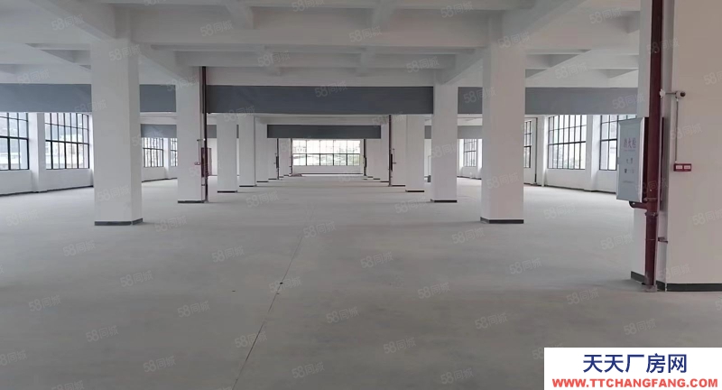 (出租) 东莞清溪客运站周边全新标准厂房大小可分租