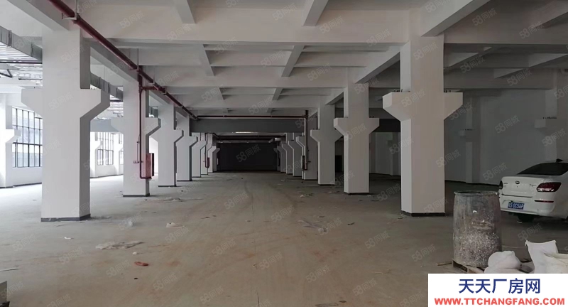 (出租) 东莞清溪客运站周边全新标准厂房大小可分租