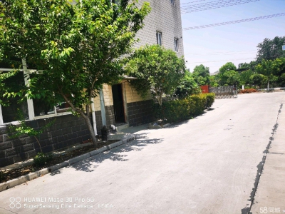 (出租) 蚌埠龙子湖工业园区标准厂房图3
