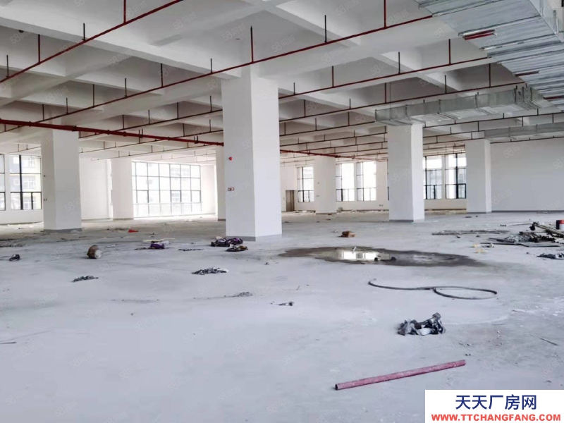 (出租) 东莞凤岗1500平米全新厂房出租）一楼高度7米楼上高度5.3米