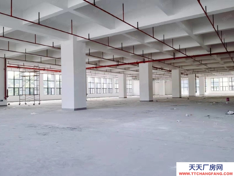(出租) 东莞凤岗1500平米全新厂房出租）一楼高度7米楼上高度5.3米