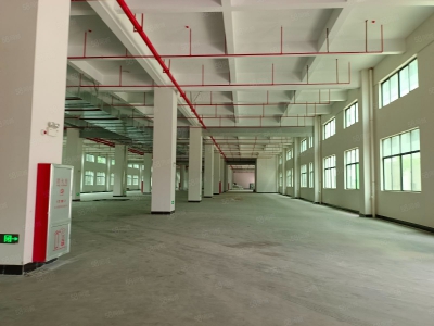 (出租) 东莞凤岗天堂围惊现标准一楼2000平带消防喷淋，原房东直租可分租图1