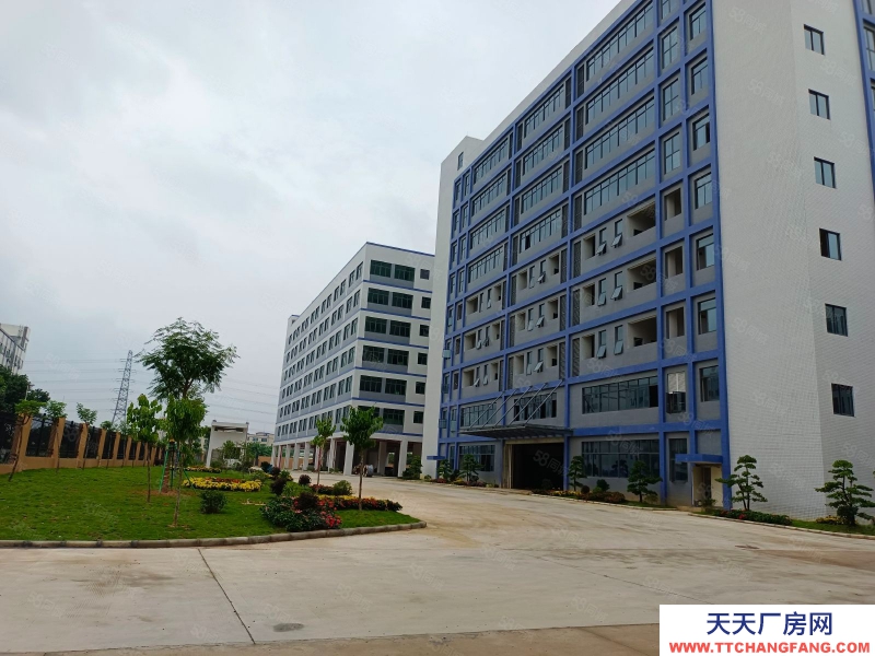 (出租) 东莞凤岗天堂围惊现标准一楼2000平带消防喷淋，原房东直租可分租