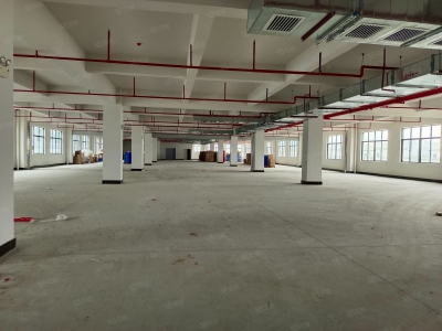 (出租) 东莞凤岗天堂围惊现标准一楼2000平带消防喷淋，原房东直租可分租图3