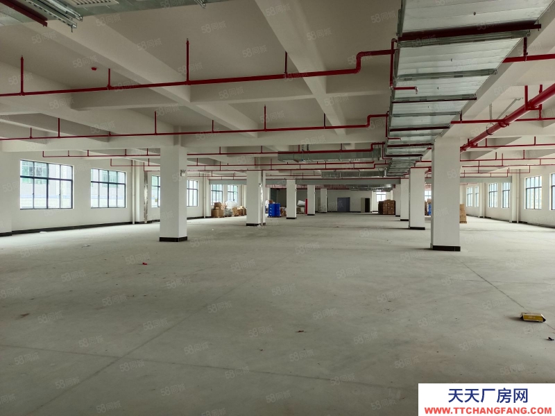 (出租) 东莞凤岗天堂围惊现标准一楼2000平带消防喷淋，原房东直租可分租