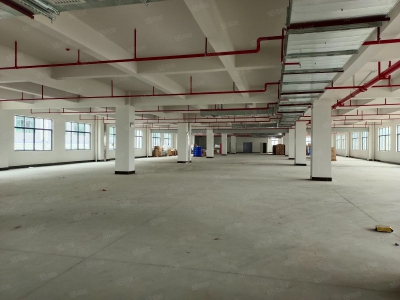 (出租) 东莞凤岗天堂围惊现标准一楼2000平带消防喷淋，原房东直租可分租图4