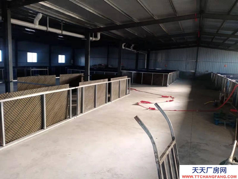枣庄市中厂房转让水电齐全，交通方便，可进大小车辆，适小型加工企业