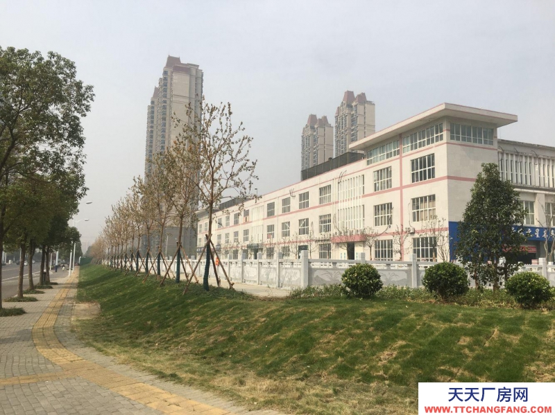 (出租)蚌埠龙子湖东海大道（恒大电影城东侧）宏业南路531号