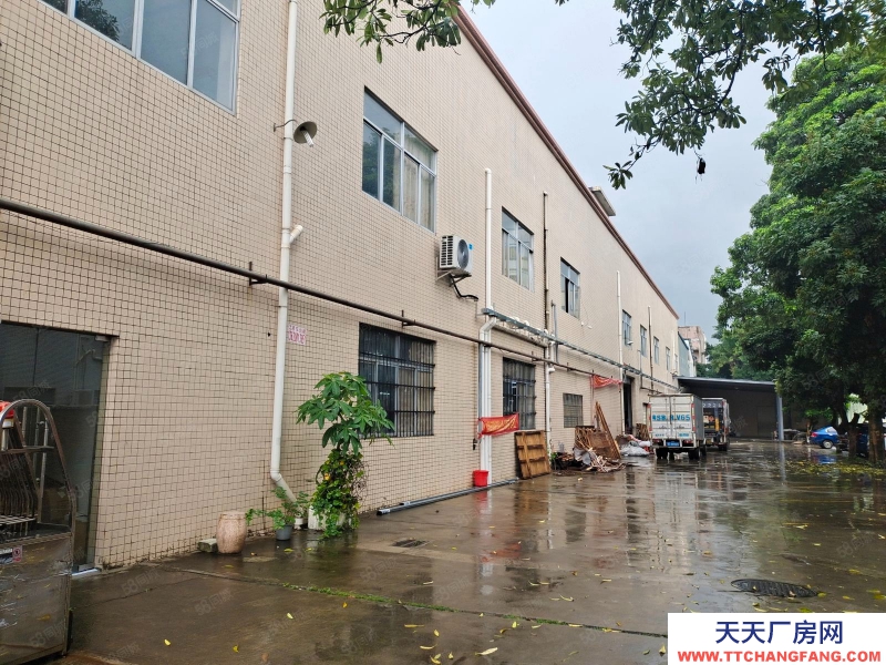 (出租) 东莞低价出租石排新出660平原房东二楼厂房