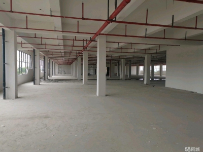 (出租) 蚌埠龙子湖国企新建徽商锦润物流园项目。今年7月可以投入使用图1