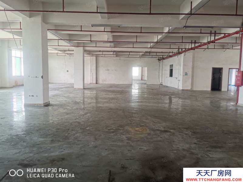 (出租) 东莞凤岗五联园区厂房出租，高度高，一楼2300平分租